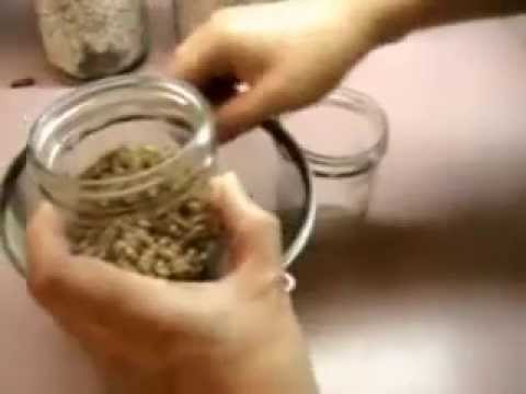 how to collect mushroom spores