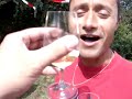 f�te du vin � madiran