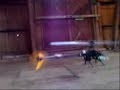 i tuned in and setup my belt for a couple of weeks combined with simulator training before i took the bird for my first flight..