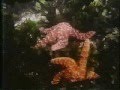 Gwaii Haanas - English Version