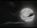 Moonrise and Shenanigans