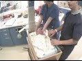 hello stella jane