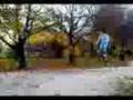 videos de ringwood jumping