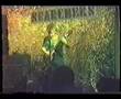 The Searchers - Sandman