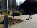 Shaw Silent Protest