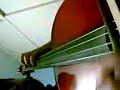 Mi Violoncello y Yo