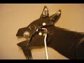 See Video