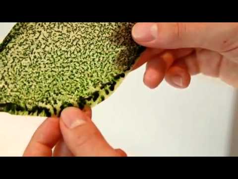 Silk Leaf project, a man-made biological leaf that turns light and water into oxygen