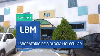 Conheça o LBM - Laboratório de Biologia Molecular | ITP