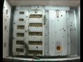 Butterflies in Space, Monarch, Flight, Cam Angle, 11-19-09, BioServe