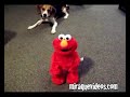 Tickle Me Elmo X TMX Elmo Tickle Me Elmo X TMX Elmo