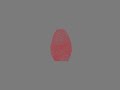 Fingerprint Animation