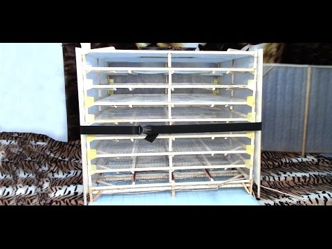 Ирландское кружево модели пальто Ирландское кружево модели пальто
