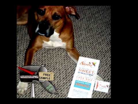 Free Sample Swerve Sweetener