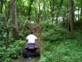 3-wheeler-roll