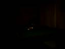 My Cat Playing Pool My Cat Playing Pool