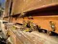 Bees in Spring, Bienen im Fruehling