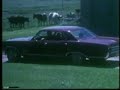 Harry Hormel And The Pork Processing Plant
