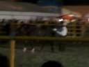 FERIA PACHUCA 2008 RODEO exivizion kabayo FERIA PACHUCA 2008 RODEO exivizion kabayo