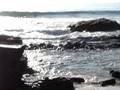 videos de Crystal Cove Beach.MPG
