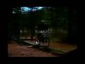 bike montage