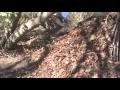 The Spider Shelter, My Favorite Debris Type Shelter