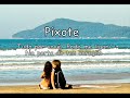 Pixote - Tupo por vc - Pode me ligar- Na porta do teu coração DVD 2010