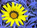dublino e dintorni - da aprile ad agosto 2007 - video/foto