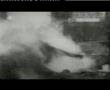 elephant killed by electric shock