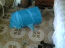 Cats playing with a clothes basket Cats playing with a clothes basket