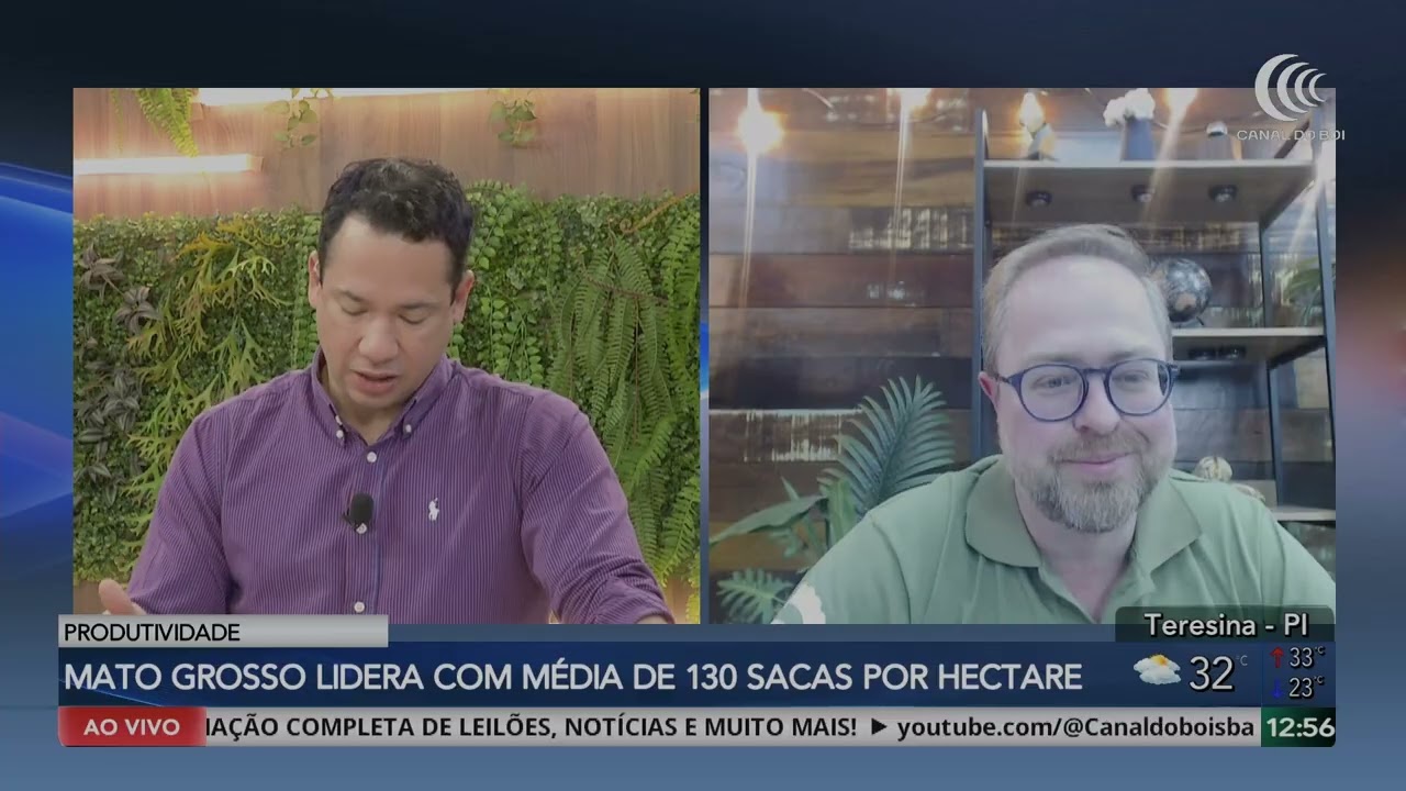 Segunda safra de milho mantém bom potencial, mas rentabilidade preocupa