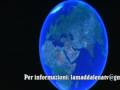 PER LA TUA PUBBLICITA\