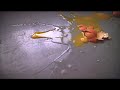 Bend Your Knees (Teaser Trailer B)