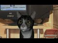 Cat dancing Cat dancing