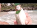 santo domingo playa de cribe and presidente beer time