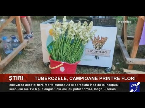 Sărbătoarea tuberozelor, la Hoghilag