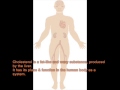 Lower Your Cholesterol Lower Your Cholesterol