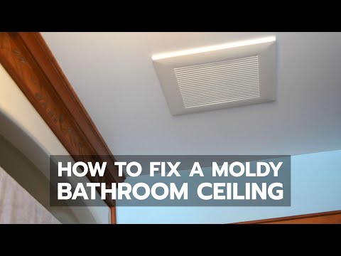how to best paint a ceiling