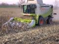Viharvert kukorica aratás CLAAS Lexion 550 Sióagárd.mp4