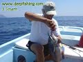 Deepfishing ekibi Sinarit avinda (Dentex)