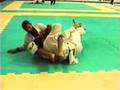 Nino Schembri: Omoplata Terror
