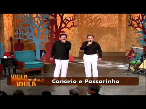 O Baio, A Mula e A Sanfona, por Canário e Passarinho