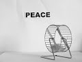 The Quest for Peace