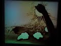 Ust imagine long - ABC