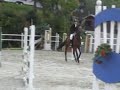 Butterfly, rodeo