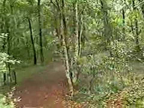 The Roanoke Island Adventure