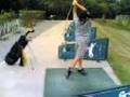 Tommy’s Golf Swing