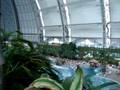 videos de Im Tropic Island