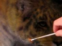 painting fur texture 2 painting fur texture 2
