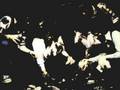 Orbit Zero - Little River Band